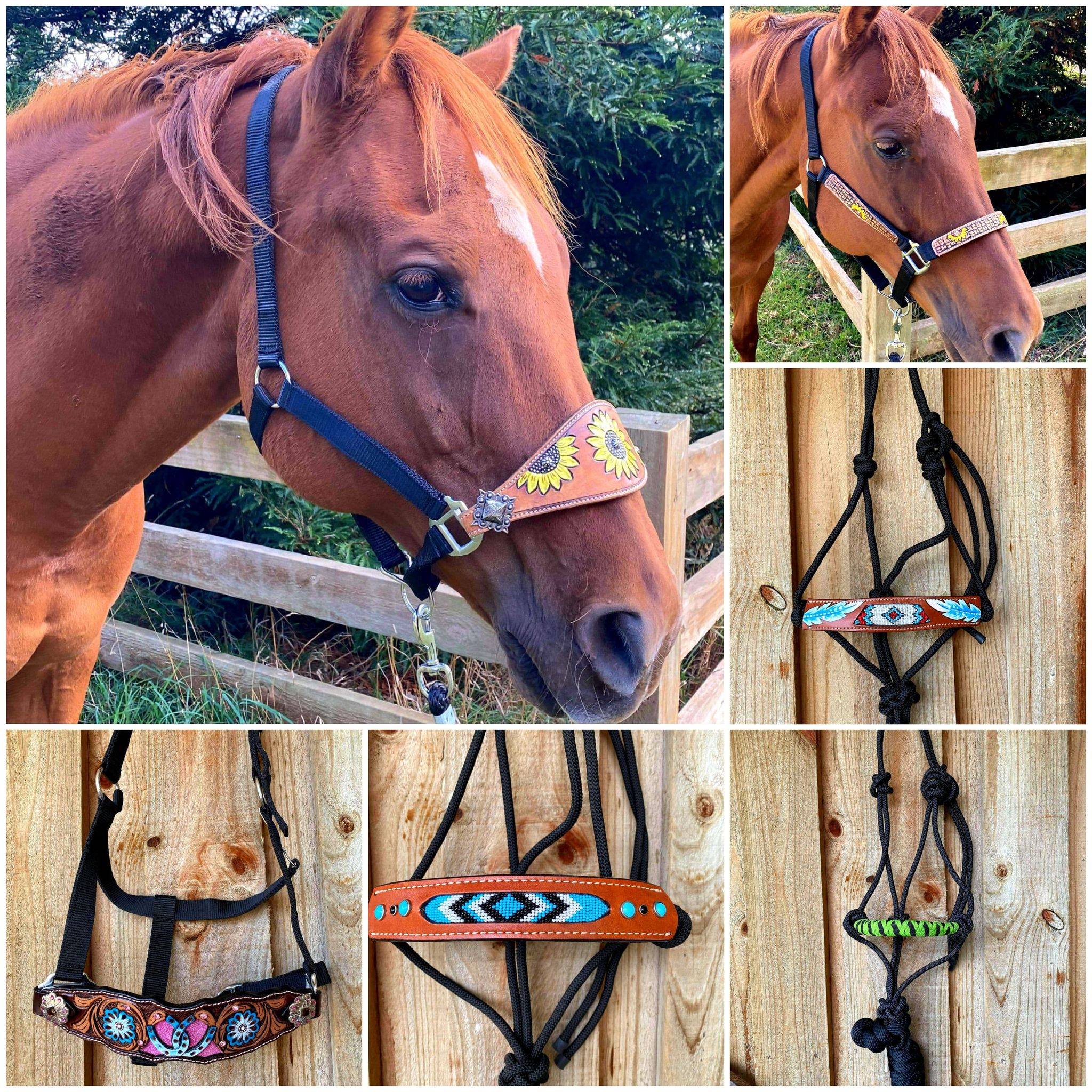 thumbnail image 2 of Showman Pony Brown Nylon Halter With Running Horses Overlay And 2 of 11