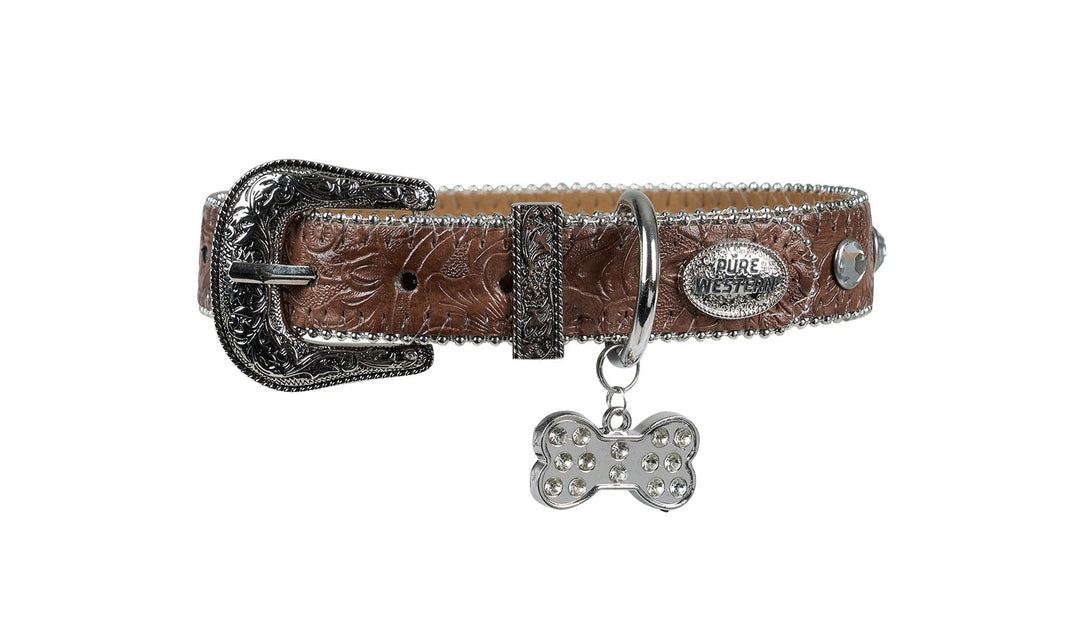 Collar - Pure Western Tilly Dog Collar