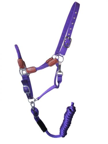 Halter - Nylon halter and matching lead rope with leather accents Purple