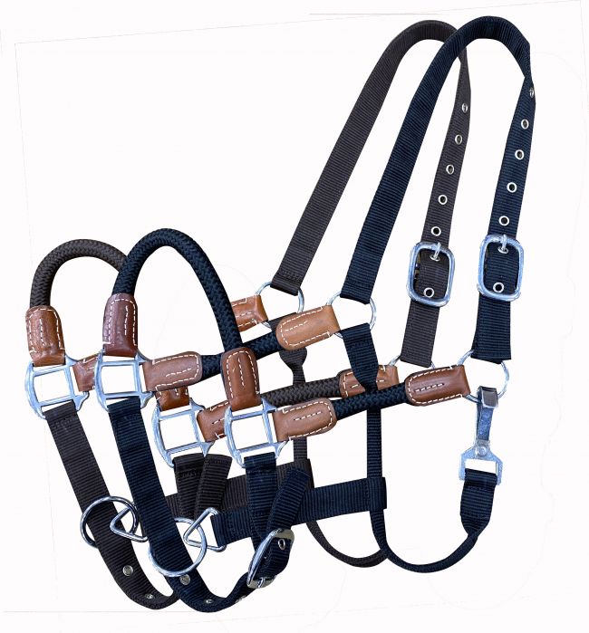 Halter - Nylon halter with leather accents