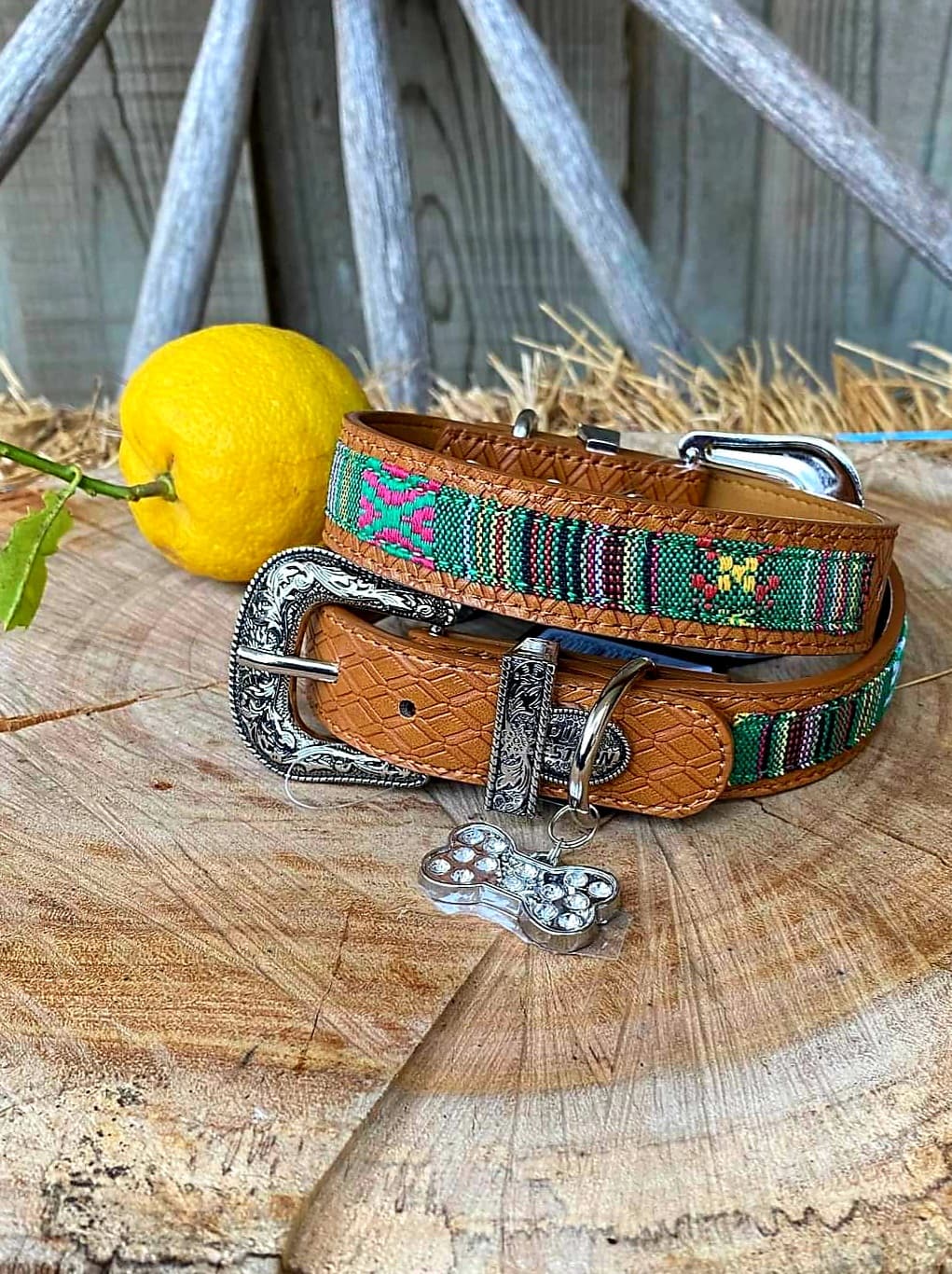 Collar - Pure Western Reece Forest Dog Collar Size XS