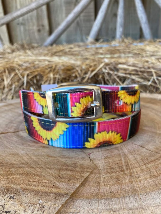 Dog Collar - Serape and Sunflower designed nylon dog collar