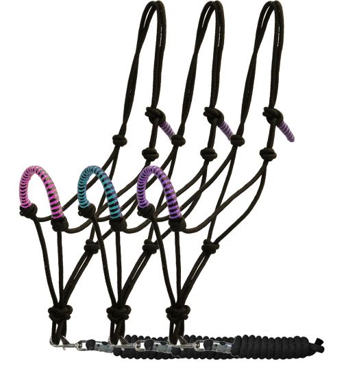 Halter -  Nylon Braided halter and matching lead rope Teal/Pink/Purple