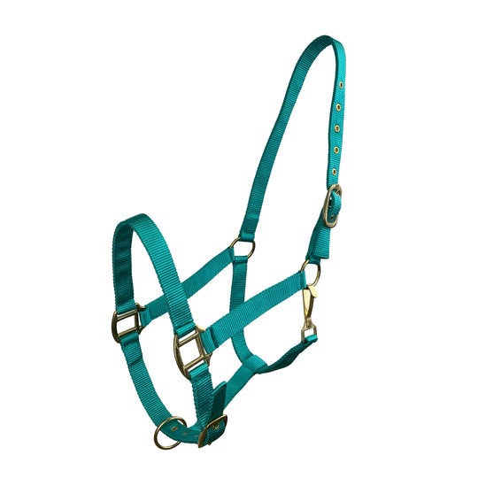 Halter -  Nylon halter with Bling Nose and sides COB