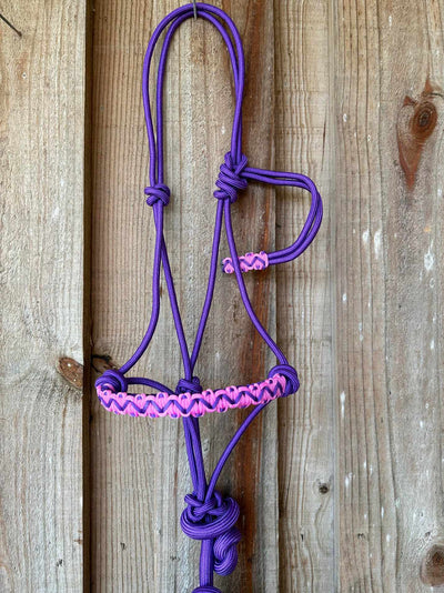 Halter  - Cowboy  Braided Rope Halter and Lead