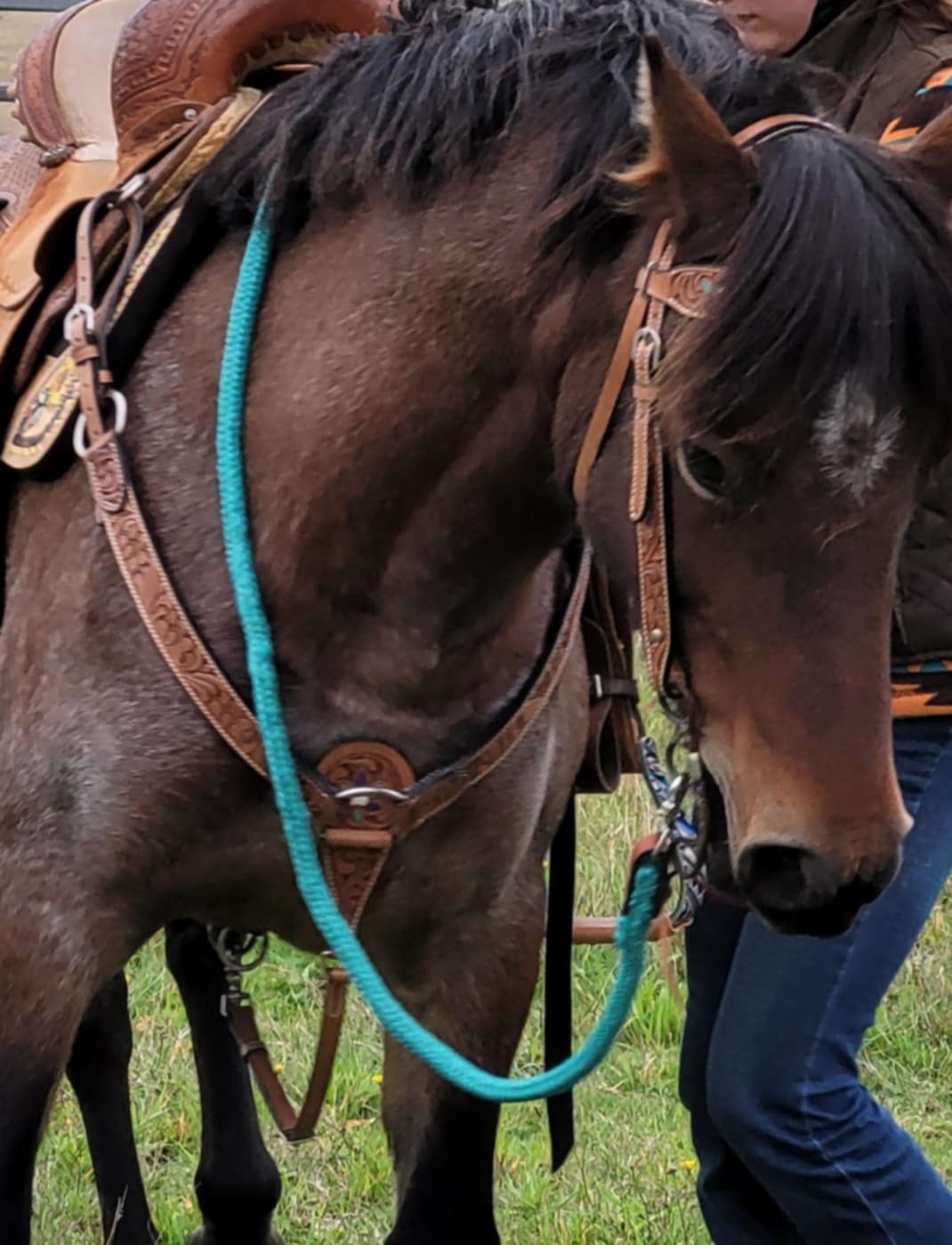 Western Tack Set Bridle Browband Lge Pony/ Cob Breastcollar - DISPLAY