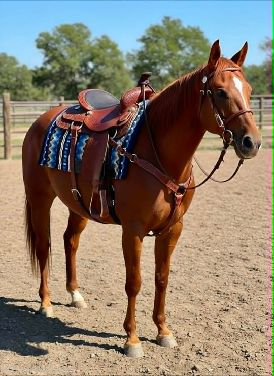 Western Saddle Pad Woven Wool Felt Contour 34 x 38