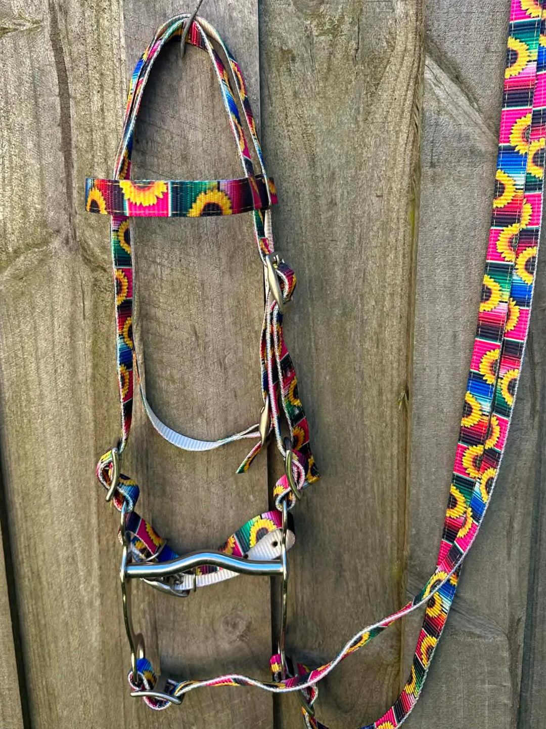 Bridle - Browband Large Pony Nylon Complete Bit and reins