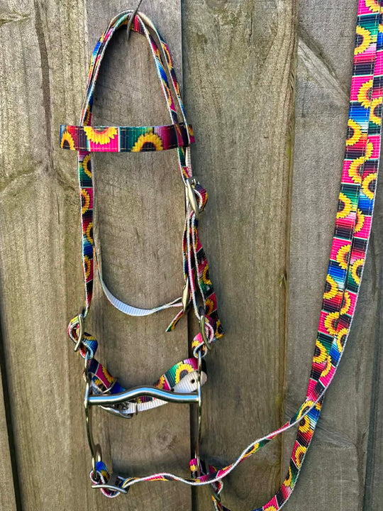 Bridle - Browband Large Pony Nylon Complete Bit and reins