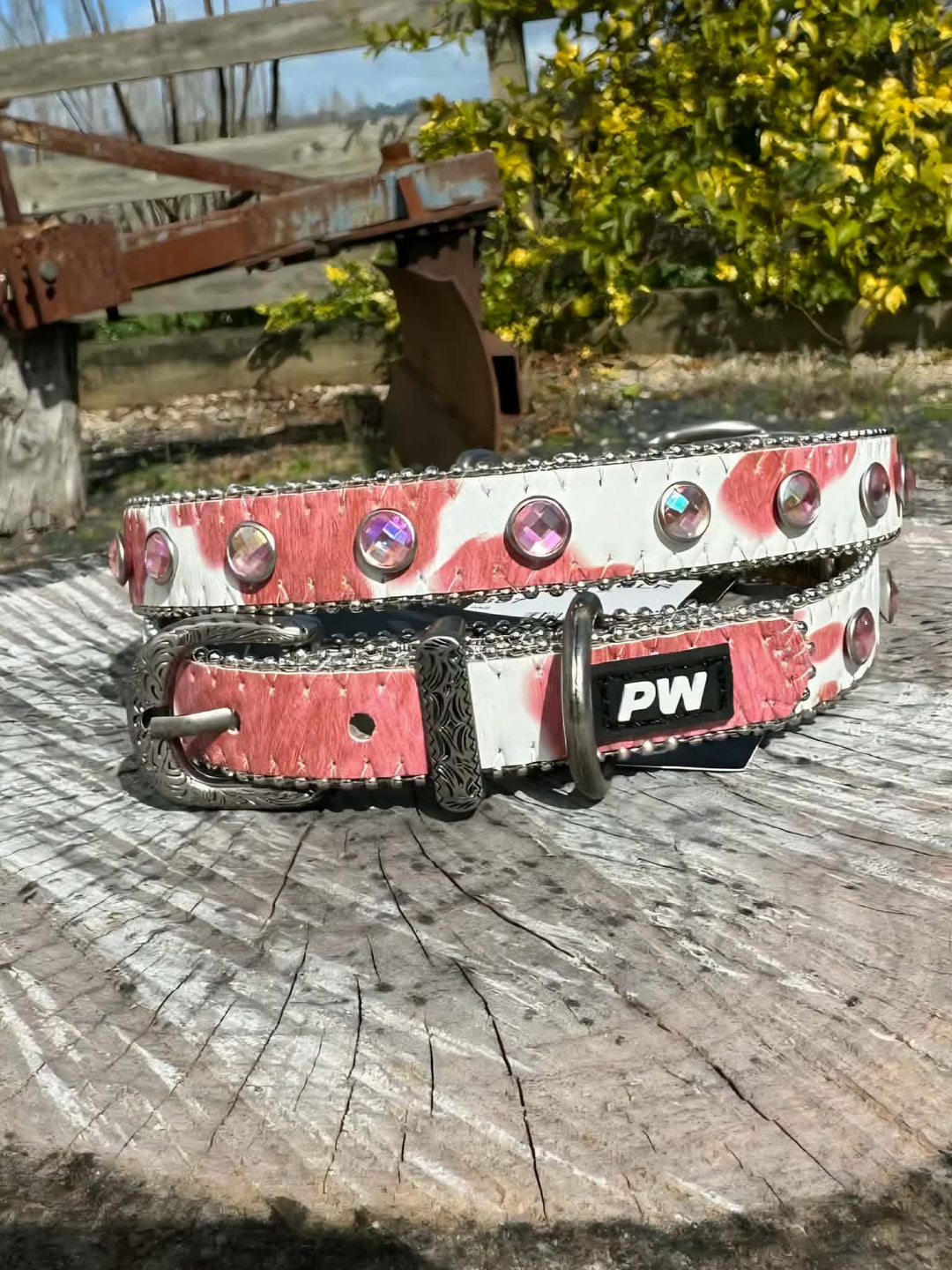 Collar - Pure Western Randy Pink Dog Collar