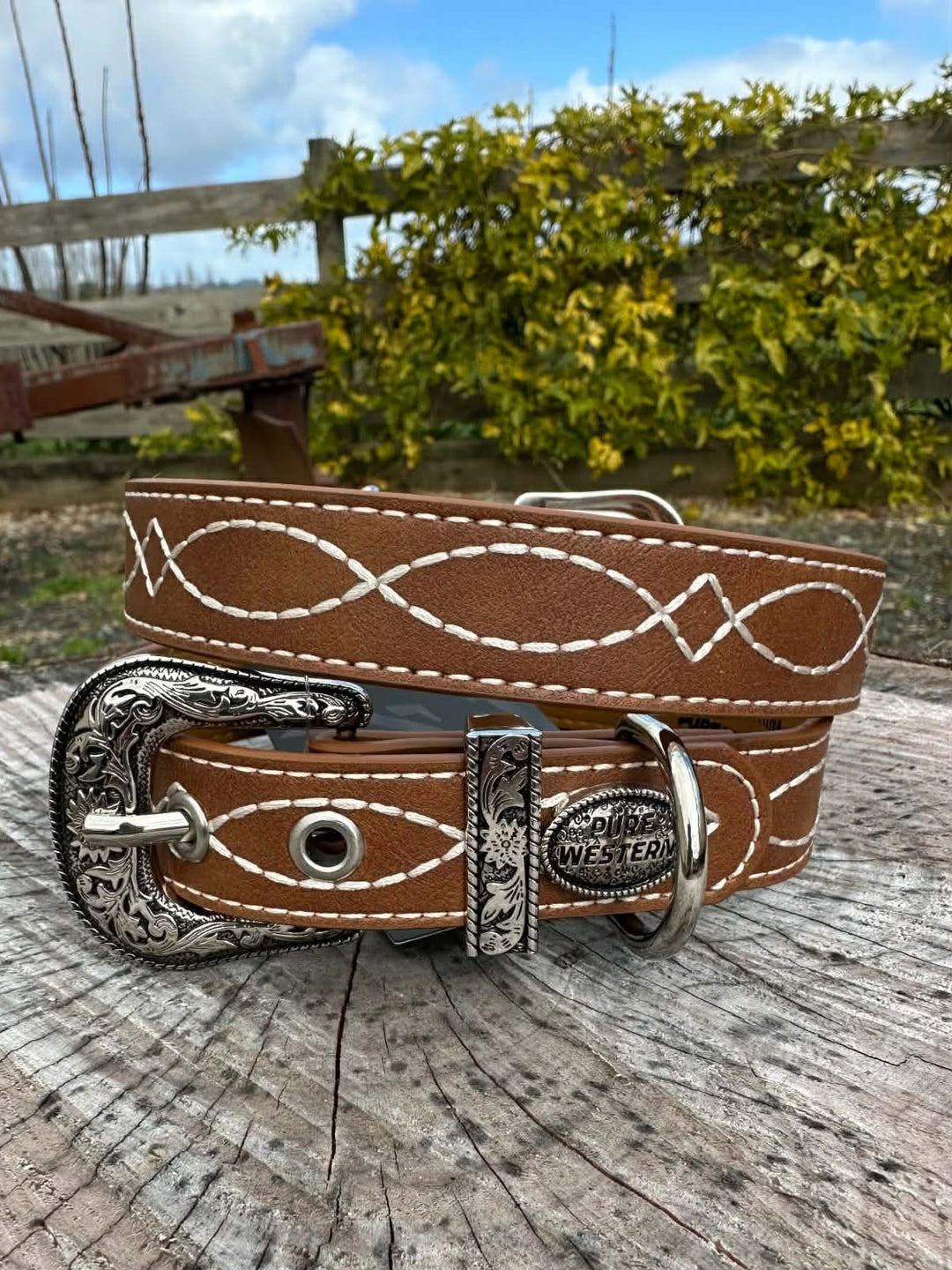 Collar - Pure Western Caery Tan Dog Collar