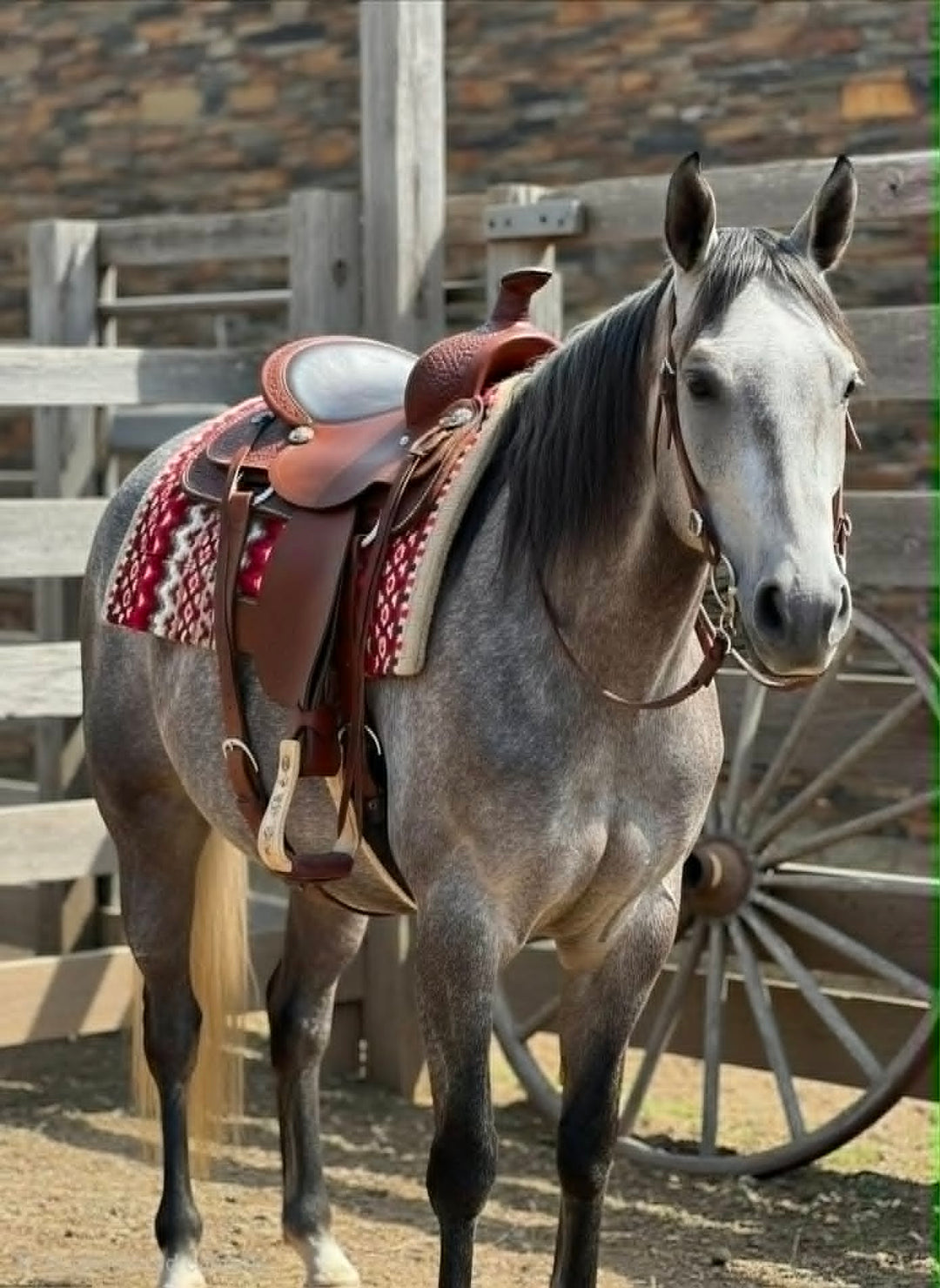Western Saddle Pad Woven Wool Felt Contour 34 x 38