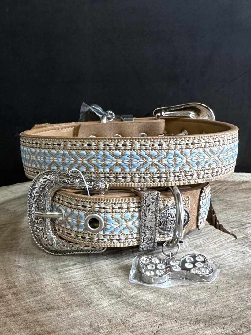 Collar - Pure Western Nikki Aqua Dog Collar