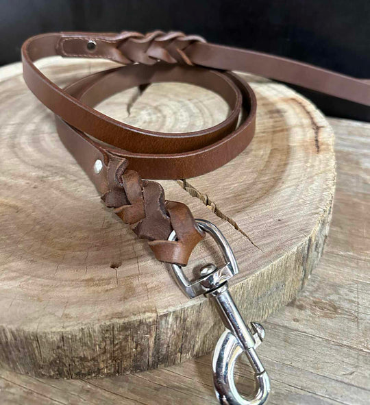 Lead - Leather Dog lead Plaited