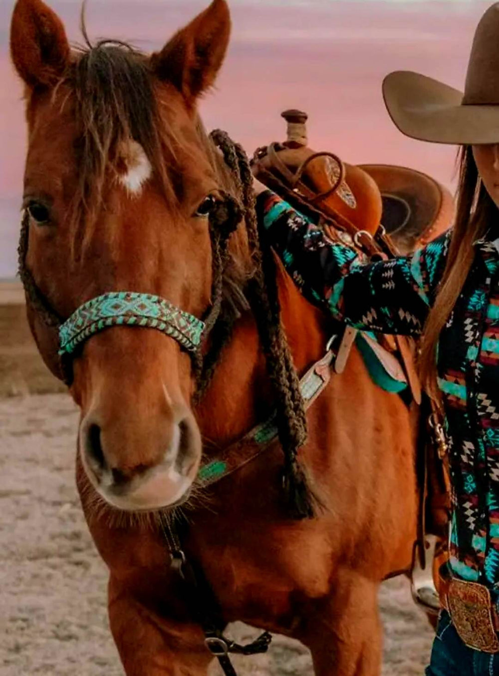 Halter - Woven mule tape halter Beaded Noseband