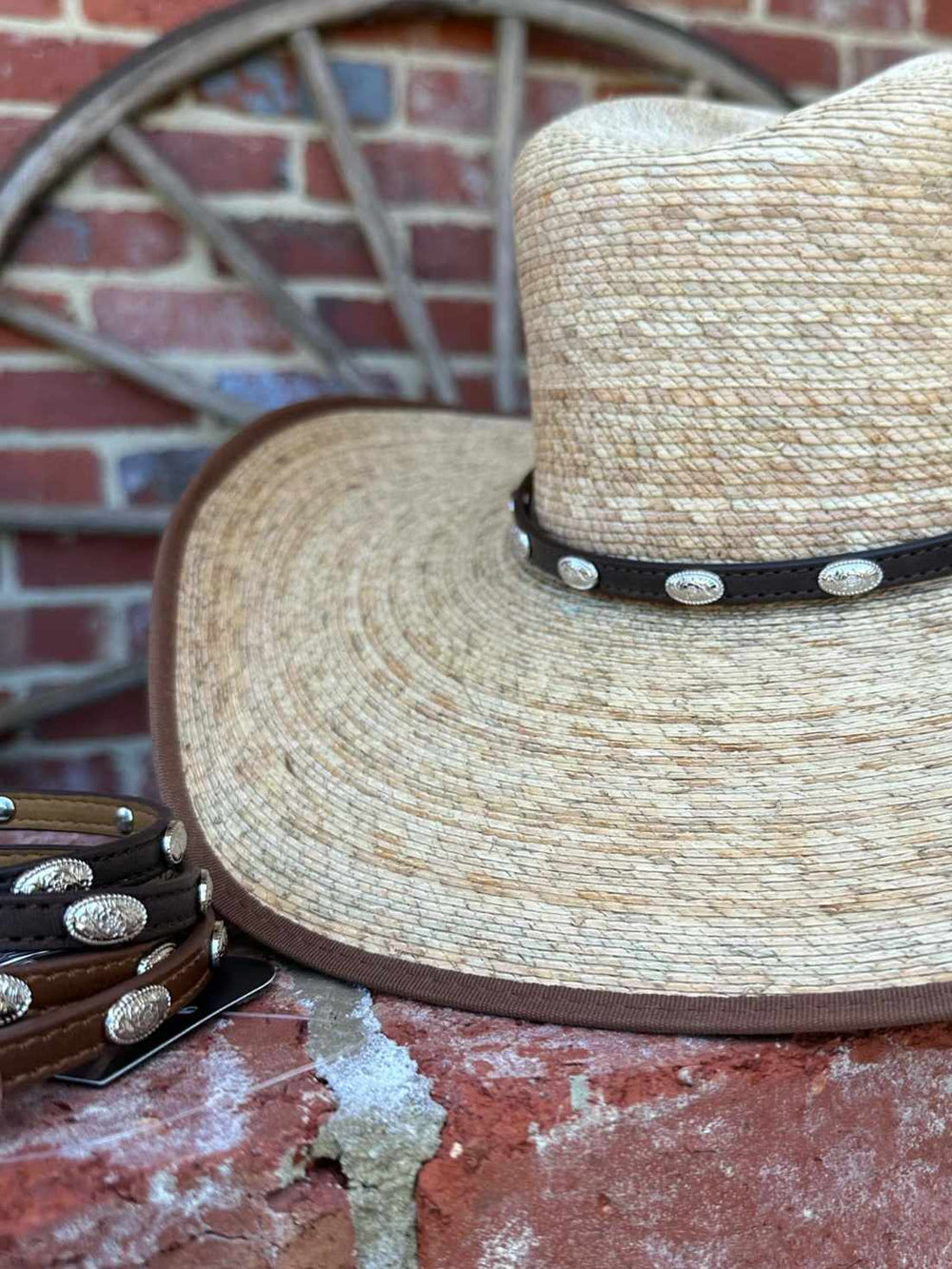 Pure Western Concho Hatband