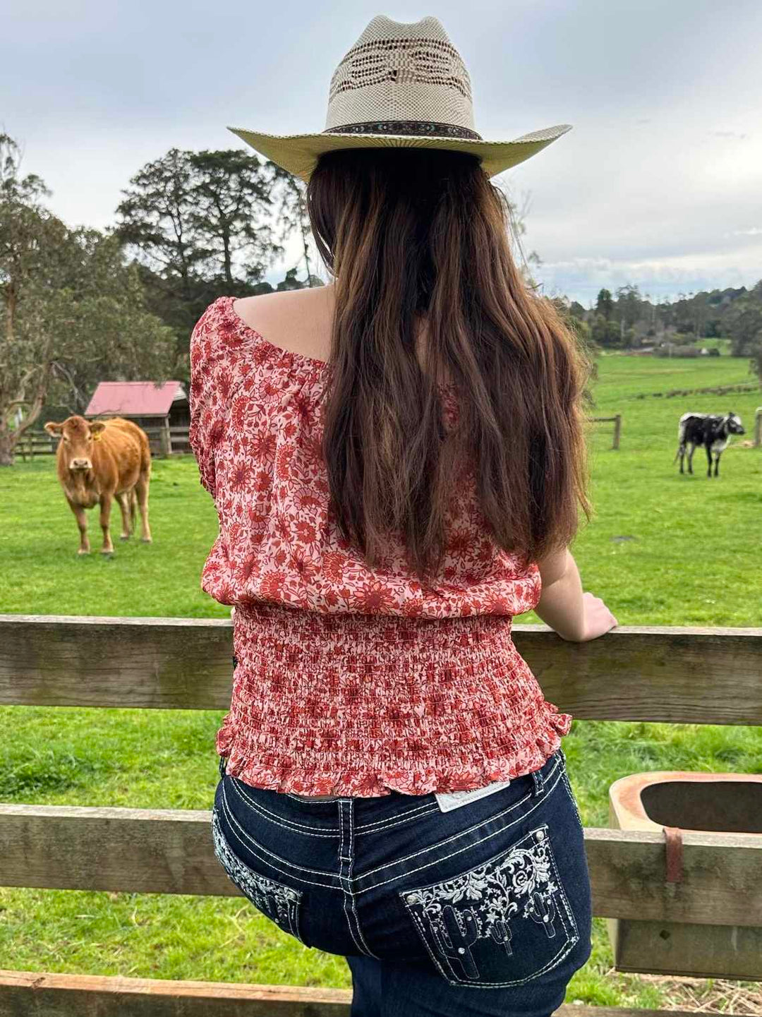 Pure Western Montana Blouse Shirt top