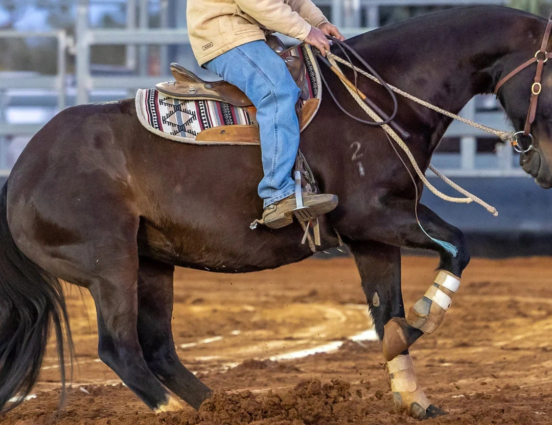 Westerm Saddle Contour Barrel/Fender Souhwest Pad