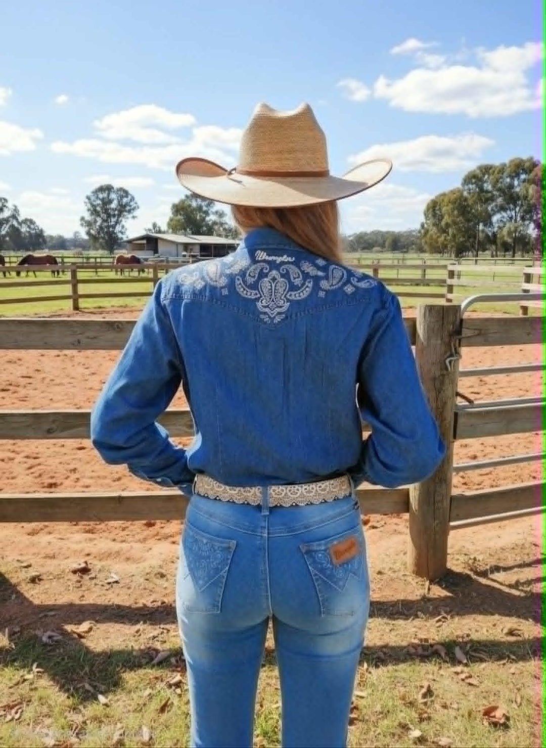 Wrangler High Rise Paige Stretch Riding Jeans - Super COMFY