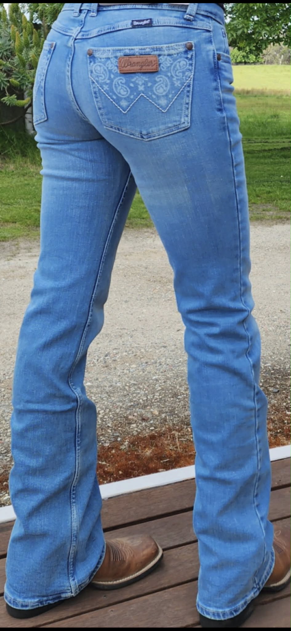Wrangler High Rise Paige Stretch Riding Jeans - Super COMFY