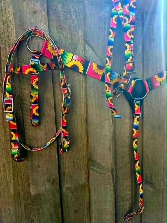 Western Tack Set - PONY Nylon Browband Bridle and Matching Breastplate
