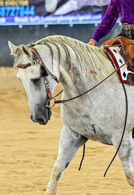 Western Bridle  Browband Rawhide Celtic Knot Show