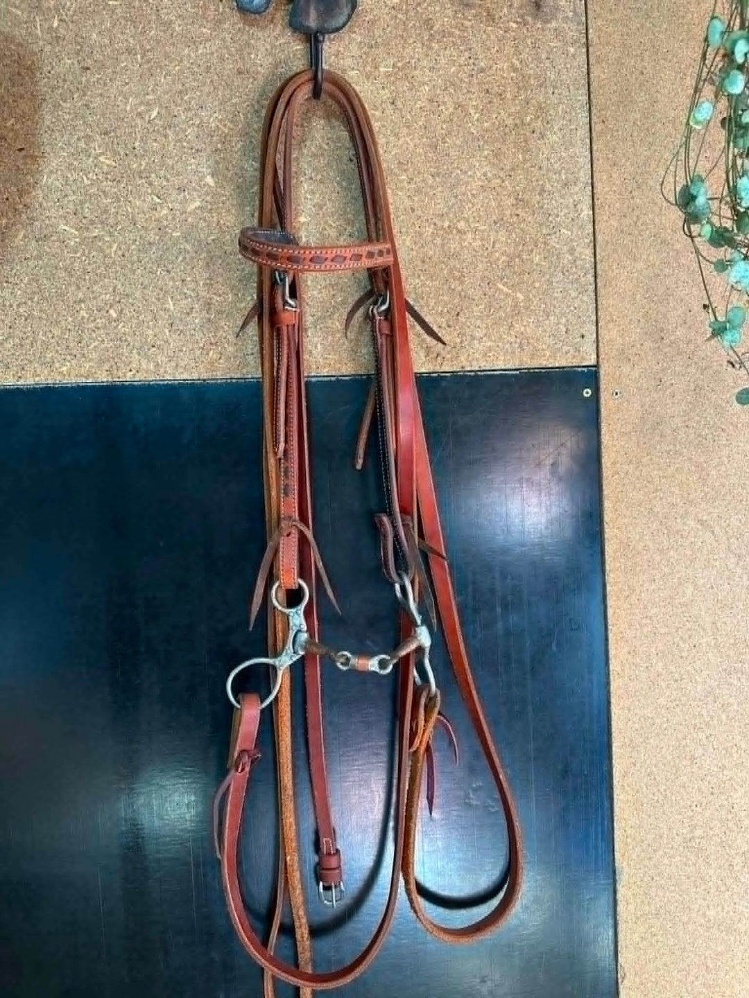 Western Bridle, Bit and Reins   - Pre Owned