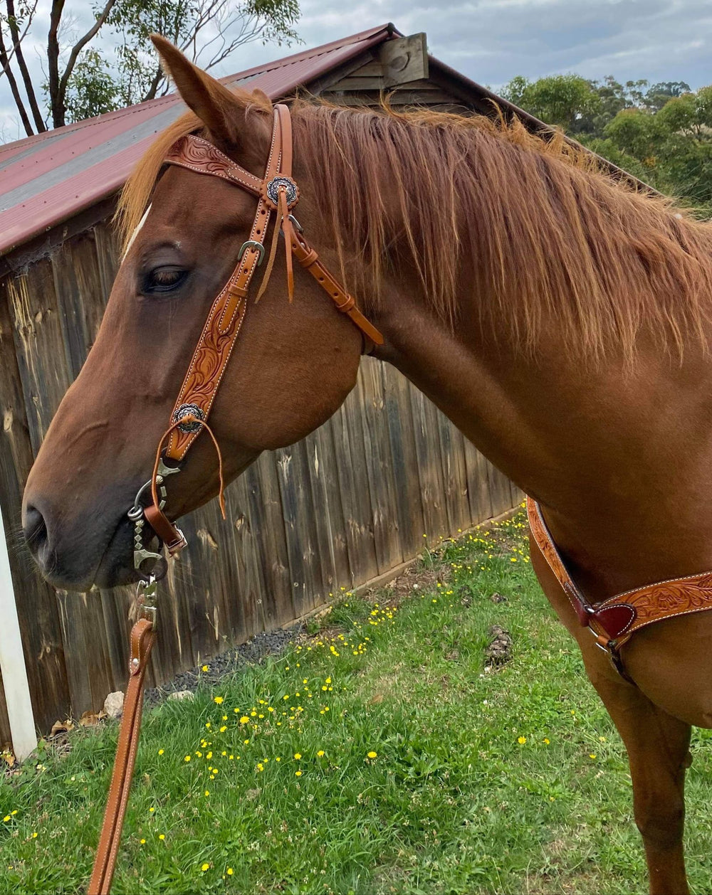 Western Bridle Browband Floral Tooled Medium Leather Headstall