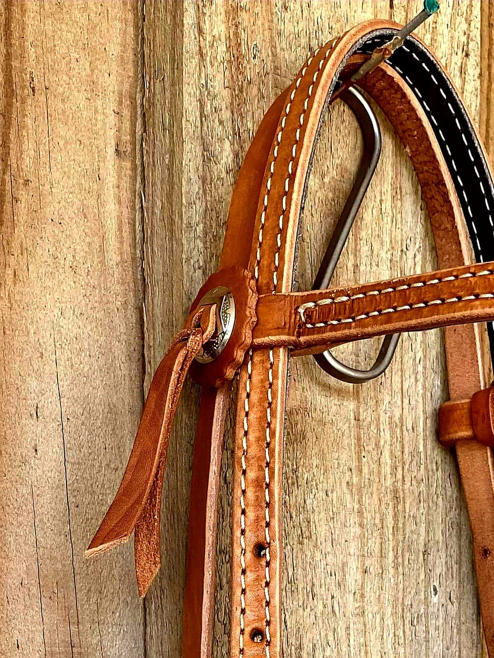 Western Bridle FUTURITY LIGHT OIL HEADSTALL W/ CONCHO ACCENTS