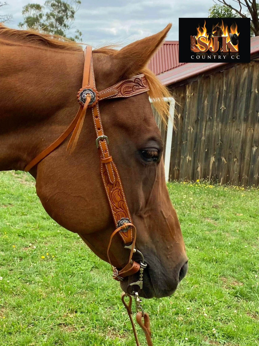 Western Bridle Browband Floral Tooled Medium Leather Headstall