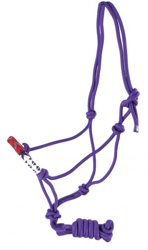 Halter - Cowboy Knot Halter with Beaded Nose Band Purple