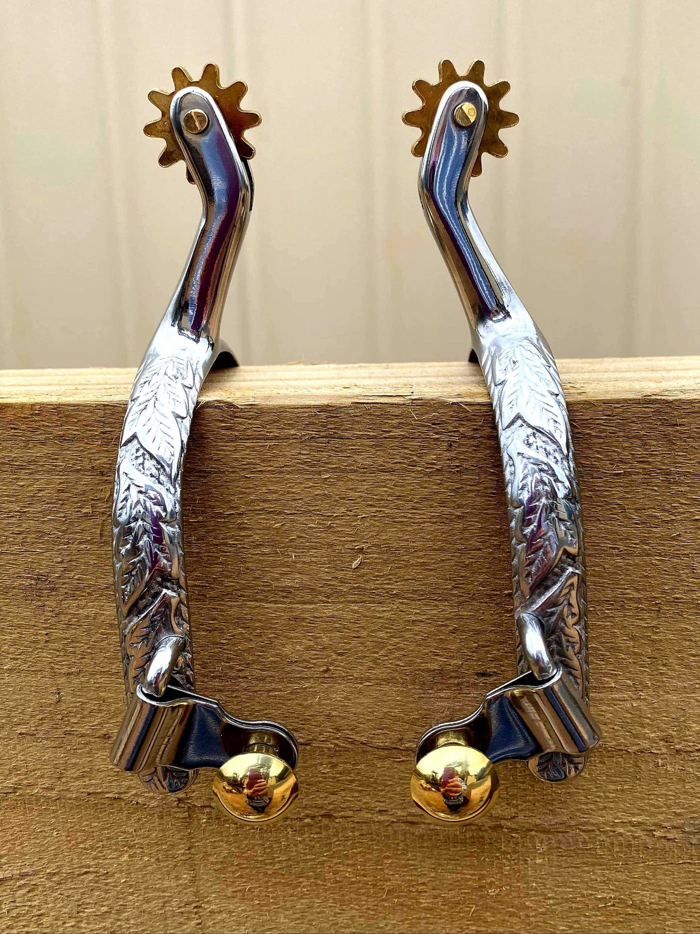 Spurs -  Ladies stainless steel spurs with brass rowel