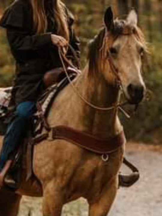 Tripping - Basketweave tooled Breastcollar Breastplate