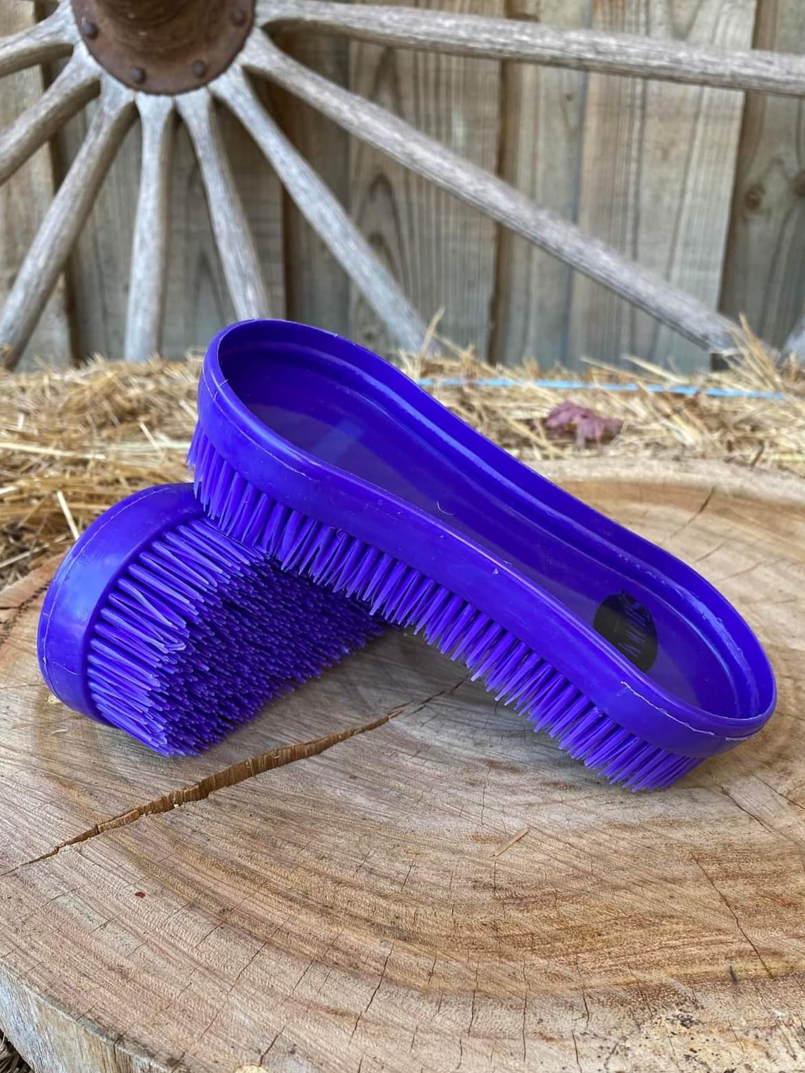 Comb - Platic Purple Curry Brush for Change in Season Grooming