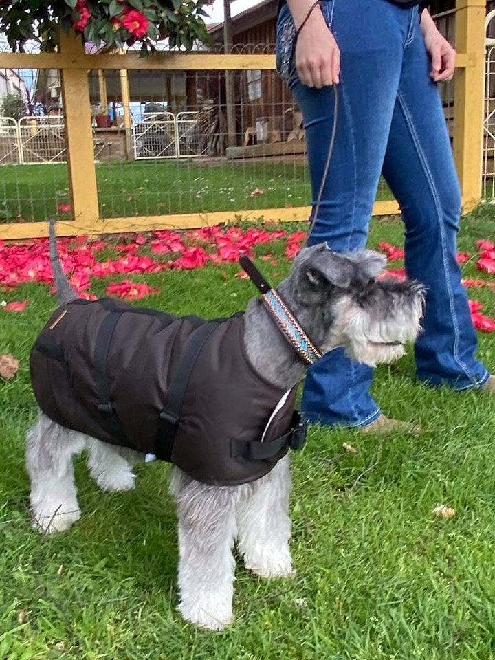 Outback Trading NZ - Clancy Oilskin Dog Coat