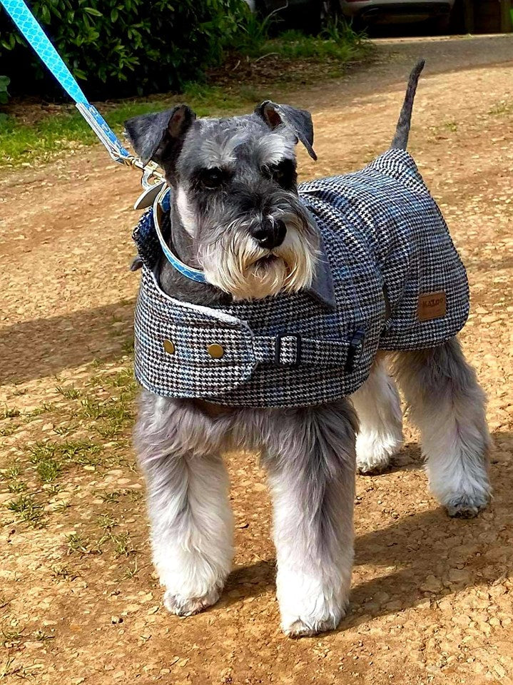 Kazoo Pets Hemmy Tartan Winter Dog Coat