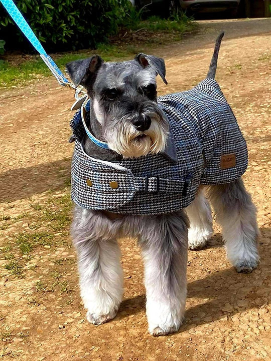 Kazoo Pets Hemmy Tartan Winter Dog Coat