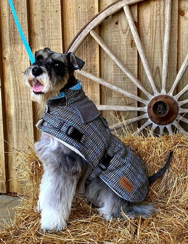 Kazoo Pets Hemmy Tartan Winter Dog Coat