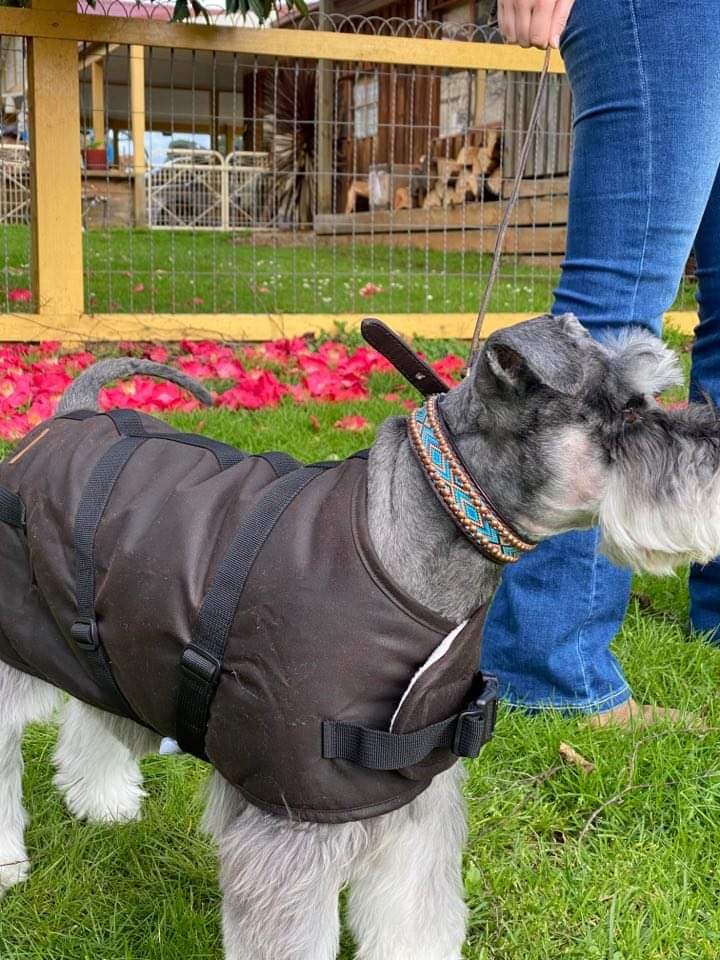 Outback Trading NZ - Clancy Oilskin Dog Coat
