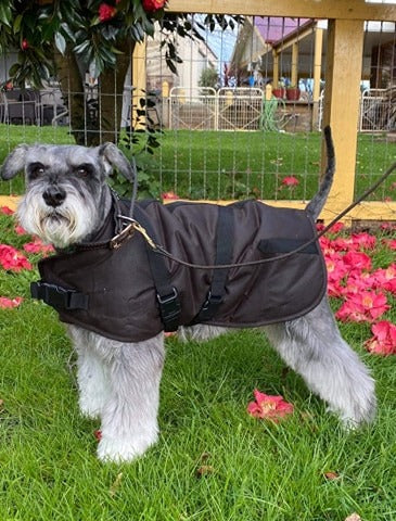 Outback Trading NZ - Clancy Oilskin Dog Coat