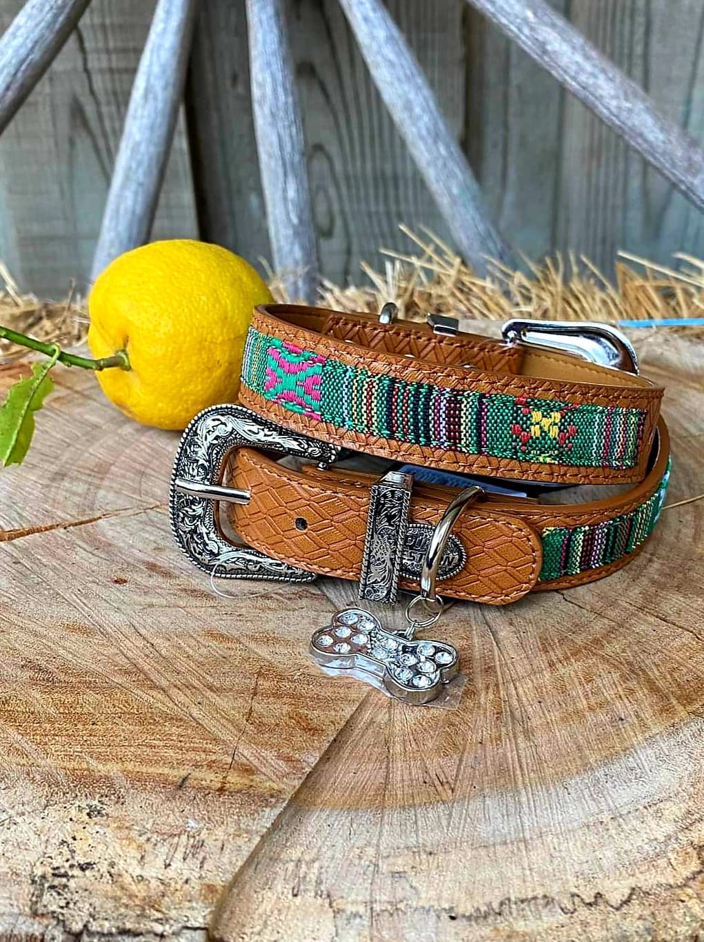 Collar - Pure Western Forest Dog Collar Size XS