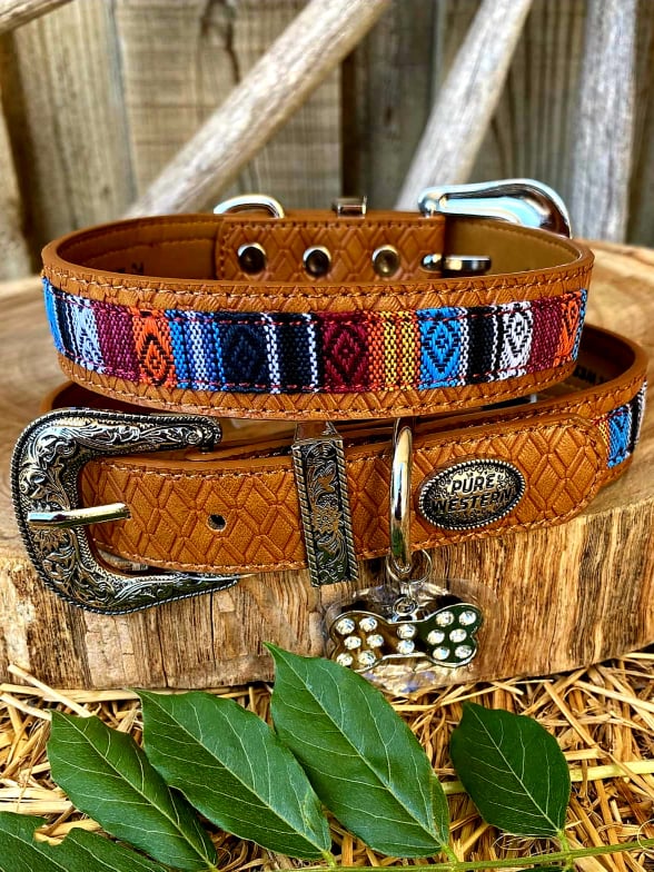 Collar - Pure Western Storm Dog Collar Size Sm or M