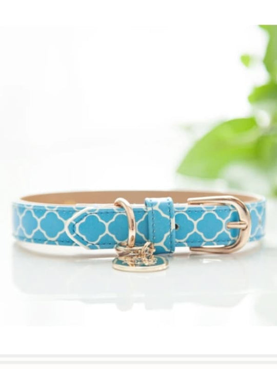 Dog Collar Pretty Aqua Design Gold Fittings