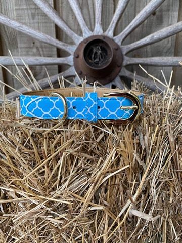 Dog Collar Pretty Aqua Design Gold Fittings
