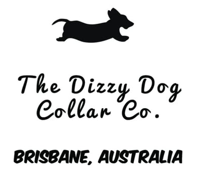 Dizzy Dog Collar Snap Closure Aqua Cow Skull Print - Large