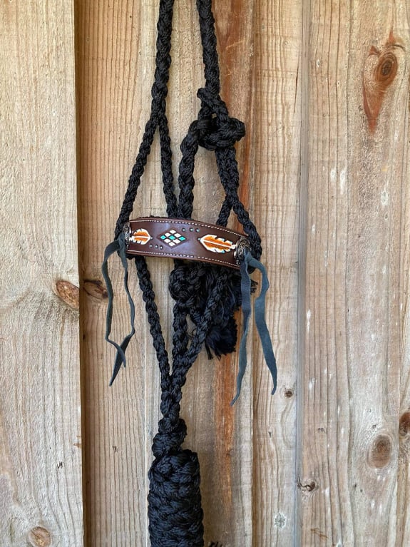 Halter - Woven black nylon mule tape halter with feather design.
