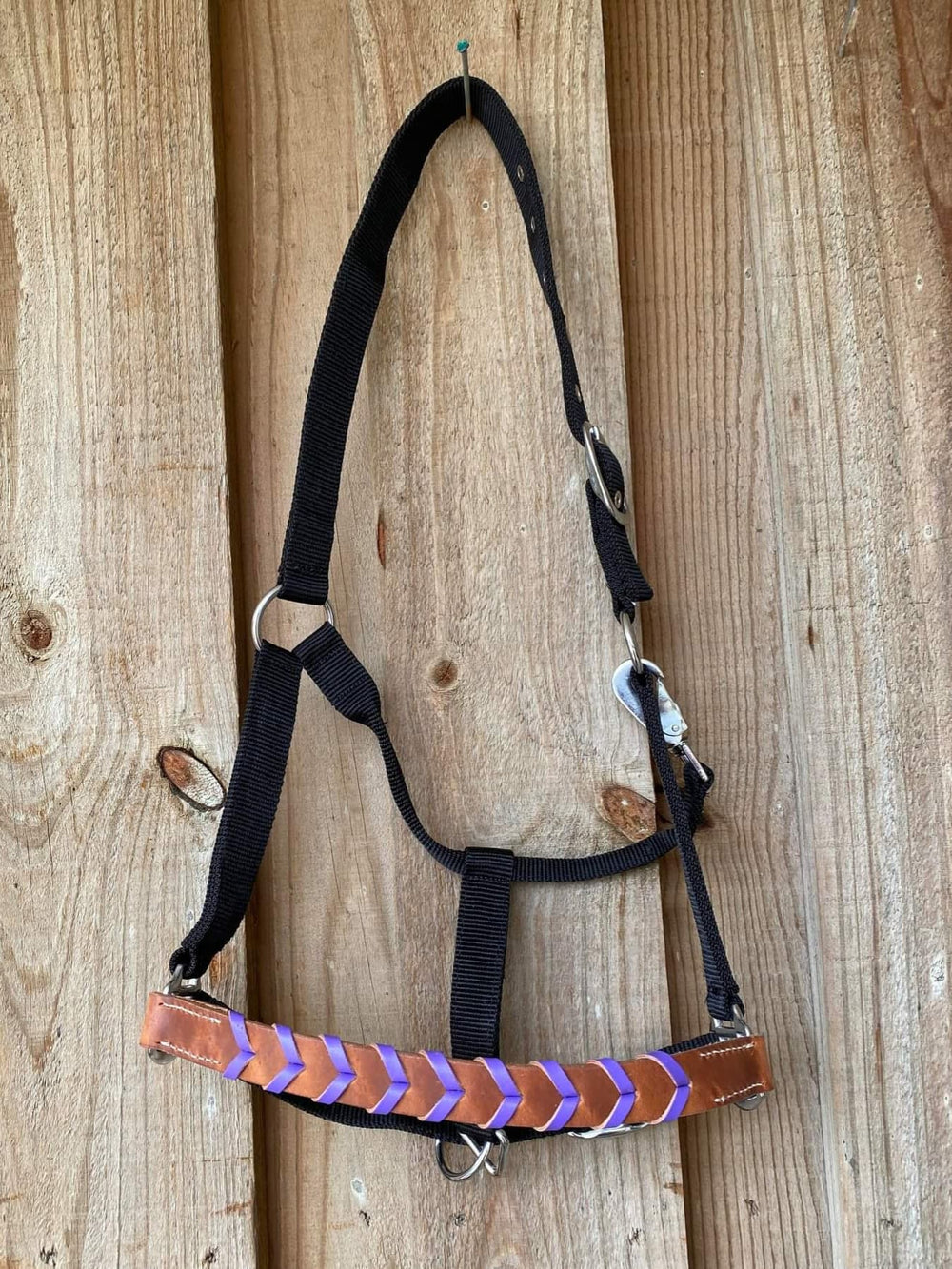 Halter - Leather Noseband Laced Purple