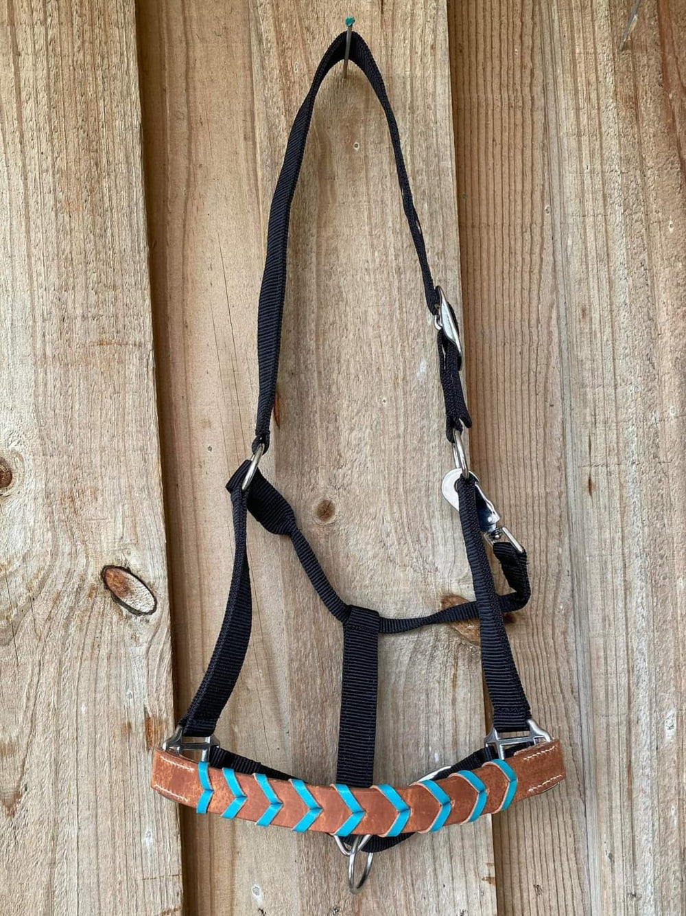Halter - Leather Noseband Laced Teal