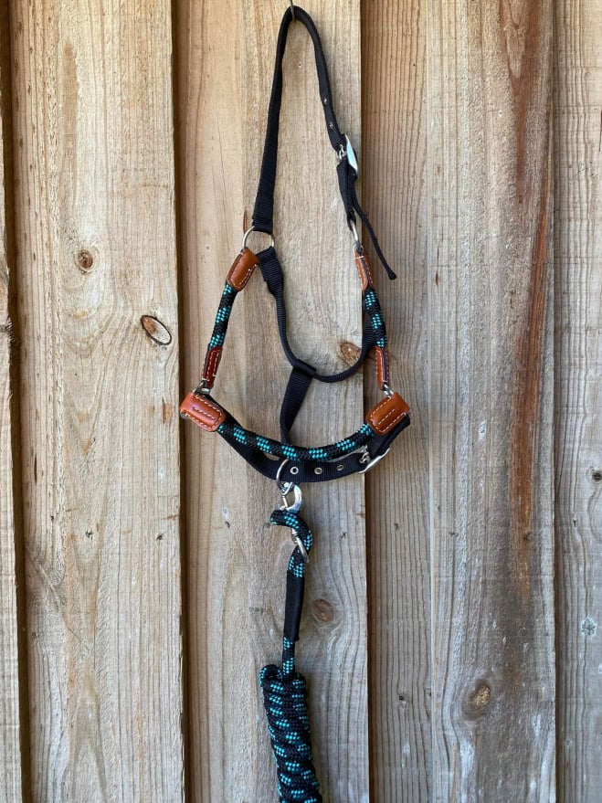 Halter -  Nylon halter and matching lead rope with leather accents Teal
