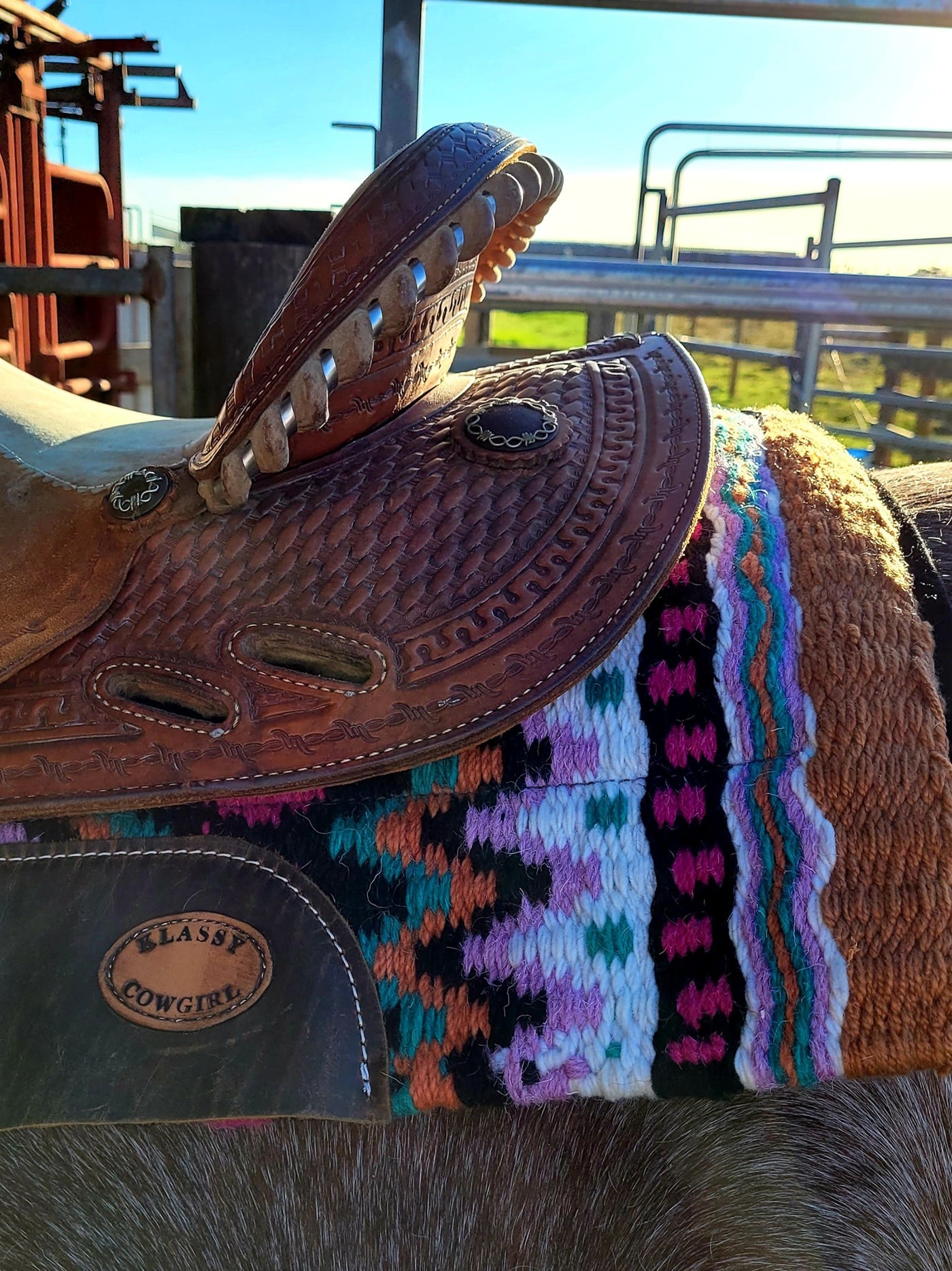 Western Klassy Cowgirl  28 x 30  Contour Woolen Top Felt Bottom Fender/Barrel Size